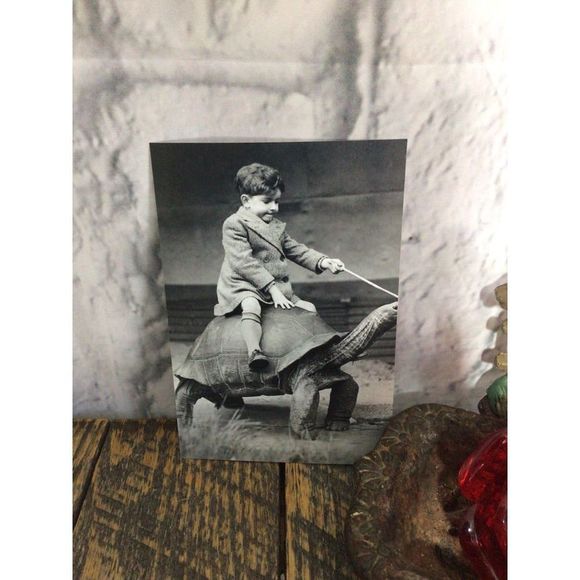 Reprint Photo Odd Bizzare Boy Riding Turtle Reprint Vintage - Picture 2 of 10